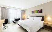Туры в отель Fiesta Inn Merida Altabrisa