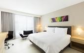 Туры в отель Fiesta Inn Merida Altabrisa