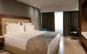 Туры в отель HS HOTSSON Hotel Irapuato