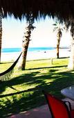 Туры в отель Cerritos Surf Town Beach Front Hotel and SPA
