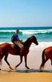 Туры в отель Cerritos Surf Town Beach Front Hotel and SPA