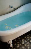 Туры в отель Flor de Mayo Hotel & Restaurant - Adults only