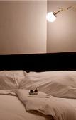 Туры в отель Flor de Mayo Hotel & Restaurant - Adults only