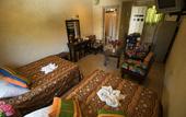 Туры в отель Hotel Sol Caribe