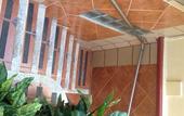 Туры в отель Hotel Sol Caribe