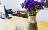Туры в отель Casa Jacinta Guest House