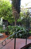 Туры в отель Inn Galerias Hotel