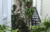 Туры в отель Casa Goliana La Roma