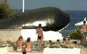 Туры в отель Holiday Area Sea Resort