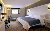 Туры в отель Holiday Inn Express Pachuca by IHG