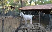 Туры в отель Holiday Area Farm Resort