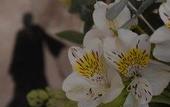 Туры в отель Hotel Casa Blanca 7