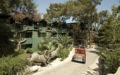 Туры в отель Holiday Area Green Resort