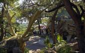 Туры в отель Holiday Area Green Resort