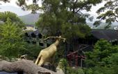 Туры в отель Holiday Area Green Resort