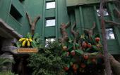 Туры в отель Holiday Area Green Resort