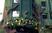 Туры в отель Holiday Area Green Resort