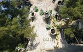 Туры в отель Holiday Area Green Resort