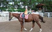 Туры в отель Holiday Area Green Resort