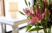 Туры в отель Ya'ax Hotel Boutique