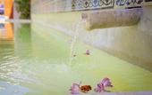 Туры в отель Ya'ax Hotel Boutique