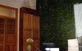 Туры в отель Ya'ax Hotel Boutique