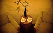 Туры в отель Ya'ax Hotel Boutique