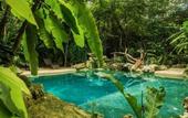 Туры в отель Reserva Ecologica Hacienda Cancun