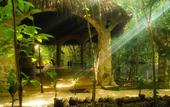 Туры в отель Reserva Ecologica Hacienda Cancun