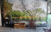 Туры в отель Homesuites Malecon