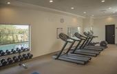 Туры в отель Staybridge Suites Silao by IHG