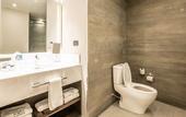 Туры в отель Four Points By Sheraton Puebla
