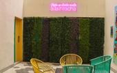 Туры в отель Hotel VIVE MX wtc CDMX, Trademark Collection by Wyndham