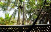 Туры в отель Catalina Beach Resort