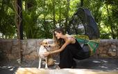 Туры в отель Thompson Zihuatanejo, A Beach Resort, by Hyatt