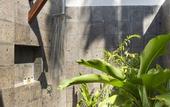 Туры в отель Thompson Zihuatanejo, A Beach Resort, by Hyatt
