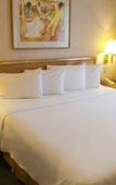 Туры в отель iStay Hotel Monterrey Historico