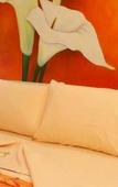 Туры в отель Hotel Borda Cuernavaca