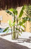 Туры в отель B&B Casa Juarez