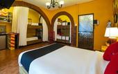 Туры в отель Coyotito Beds San Angel