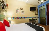 Туры в отель Coyotito Beds San Angel