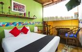 Туры в отель Coyotito Beds San Angel