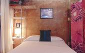 Туры в отель Coyotito Beds San Angel