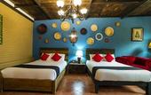 Туры в отель Coyotito Beds San Angel