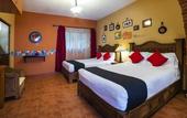 Туры в отель Coyotito Beds San Angel