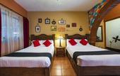 Туры в отель Coyotito Beds San Angel