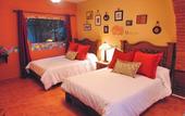 Туры в отель Coyotito Beds San Angel
