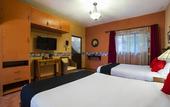 Туры в отель Coyotito Beds San Angel