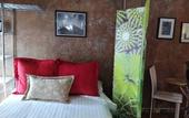 Туры в отель Coyotito Beds San Angel