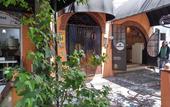Туры в отель Coyotito Beds San Angel